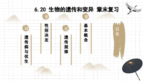 第20章 生物的遗传和变异(复习课件)2023-2024学年八年级生物上册同步精品课件(北师大版)