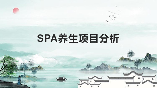 SPA养生项目分析