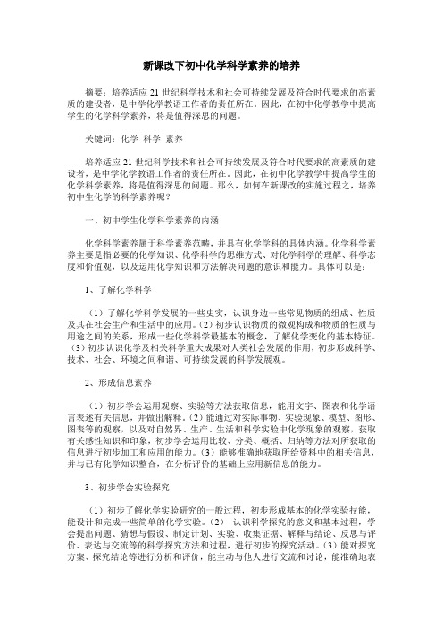 新课改下初中化学科学素养的培养