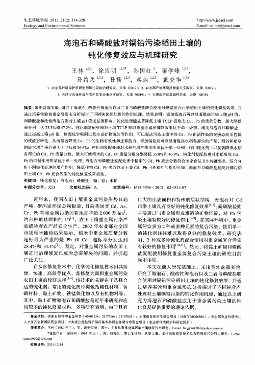 海泡石和磷酸盐对镉铅污染稻田土壤的钝化修复效应与机理研究