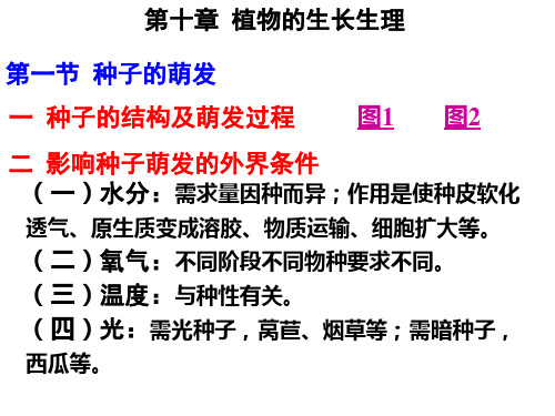 植物生理学010生长生理