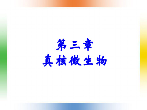 真核微生物的形态与构造ppt(共122张PPT)