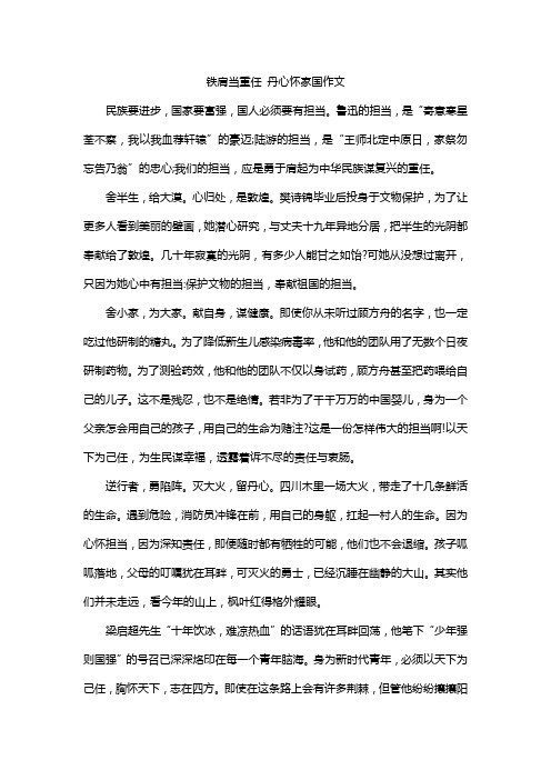 铁肩当重任 丹心怀家国作文