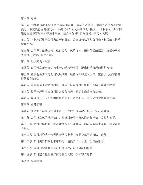 金融小贷公司管理制度