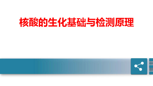 核酸的生化基础与检测原理(新冠肺炎核酸检测学习专家课堂)