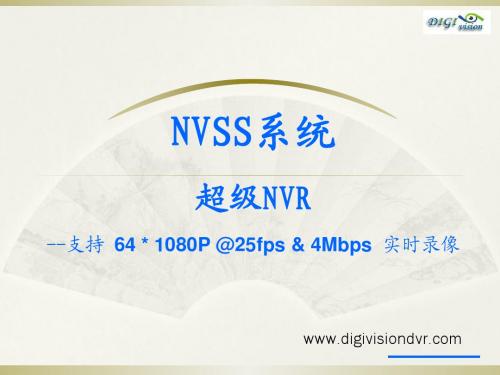 NVSS-超级NVR-网络视频存储系统