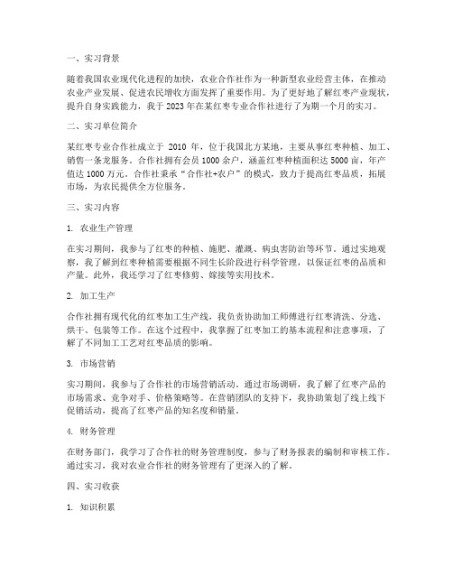 红枣专业合作社实习报告