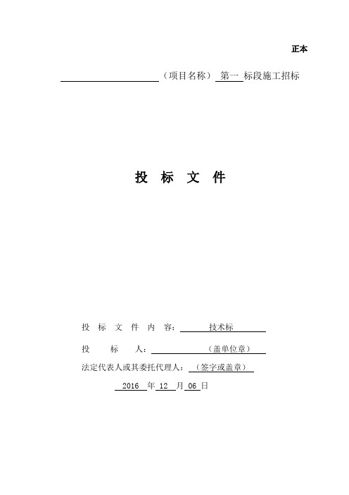 某沿街建筑亮化工程施工组织设计、技术标