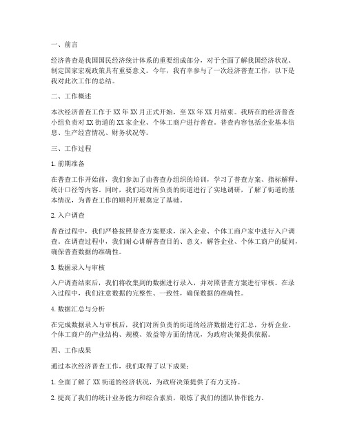 经济普查工作总结个人