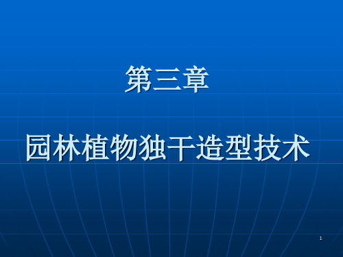 第三章园林植物造型PPT课件