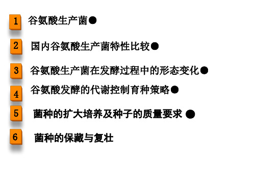 精选任务121谷氨酸生产菌