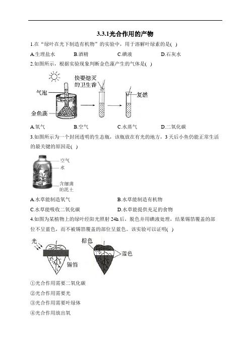 冀少版生物八年级上册同步练习3.3.1光合作用的产物