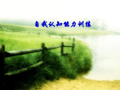 1自我认知能力训练