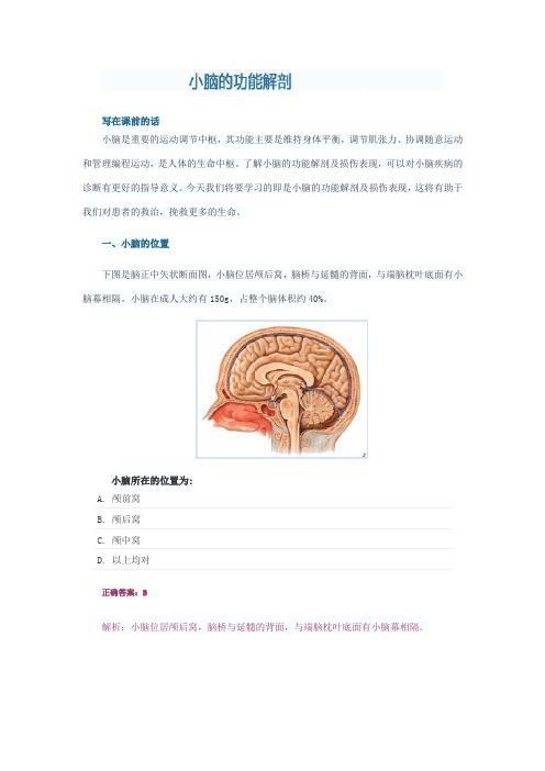 小脑的功能解剖汇总