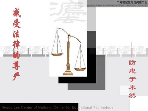 防患于未然课件13