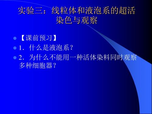 实验四线粒体和液泡系的超活染色与观察