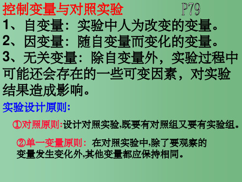 高中生物 第五章《细胞的能量供应和利用》期末复习 新人教版必修1