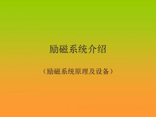 励磁系统介绍