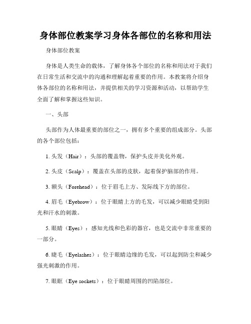 身体部位教案学习身体各部位的名称和用法