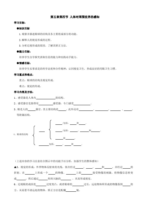 生物：3.5.4《人体对周围世界的感知》学案(济南版七年级下)