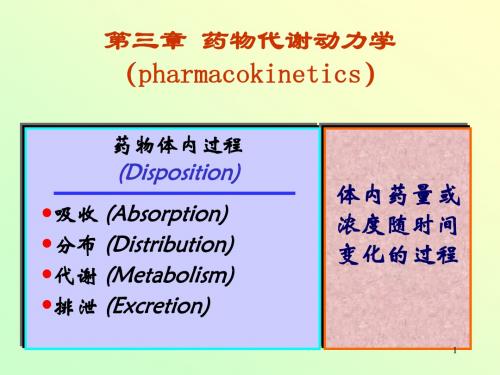 药理学 药物代谢动力学ppt课件