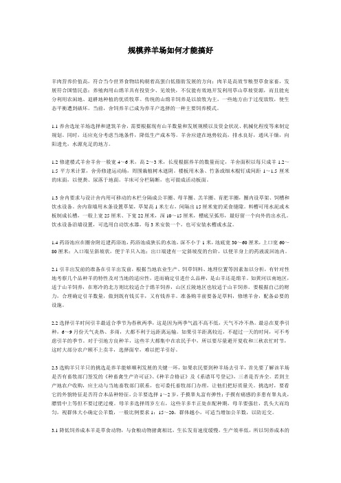 规模养羊场如何才能办好