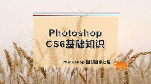 Photoshop CS6基础知识