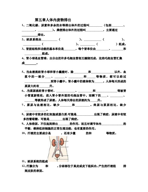 第五章人体内废物的排出知识点