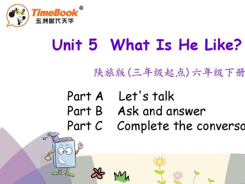 陕西旅游版六年级英语下册Unit 5 What Is He Like课件(3)