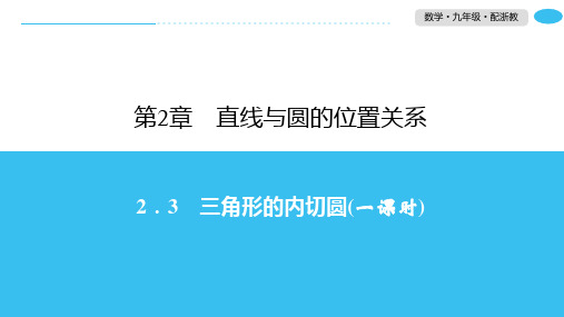 2.3三角形的内切圆-2020春浙教版九年级数学下册习题课件(共25张PPT)