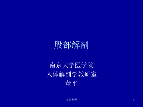 股部的解剖[专业参考]