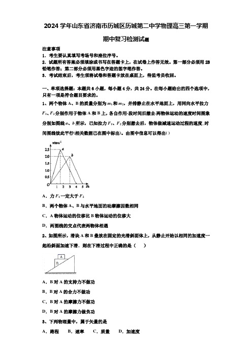 2024学年山东省济南市历城区历城第二中学物理高三第一学期期中复习检测试题含解析