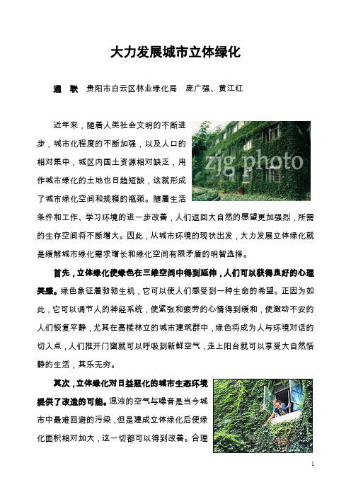 大力发展城市立体绿化