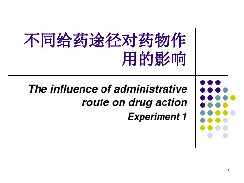 不同给药途径对药物作用的影响PPT课件