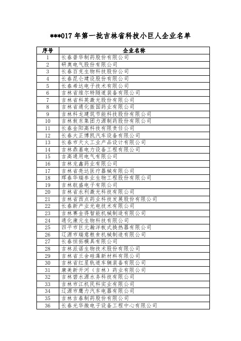 2017年第一批吉林省科技小巨人企业名单【模板】