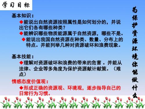 晋教地理八年级上册第三章3.1丰富的自然资源(共34张PPT)