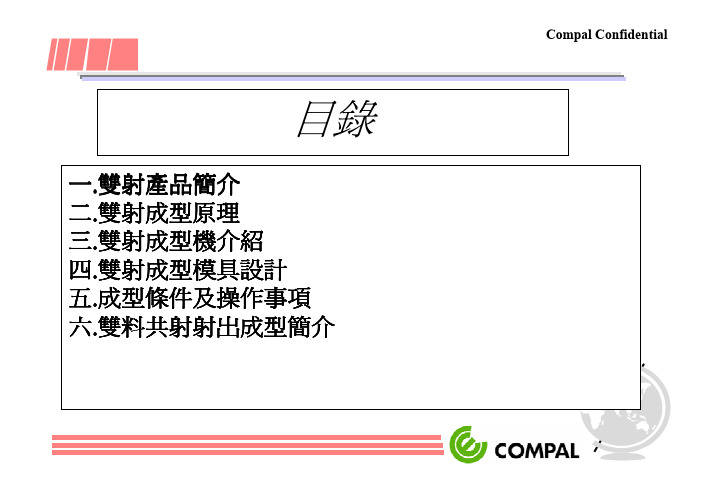 双色注塑模具成型简介