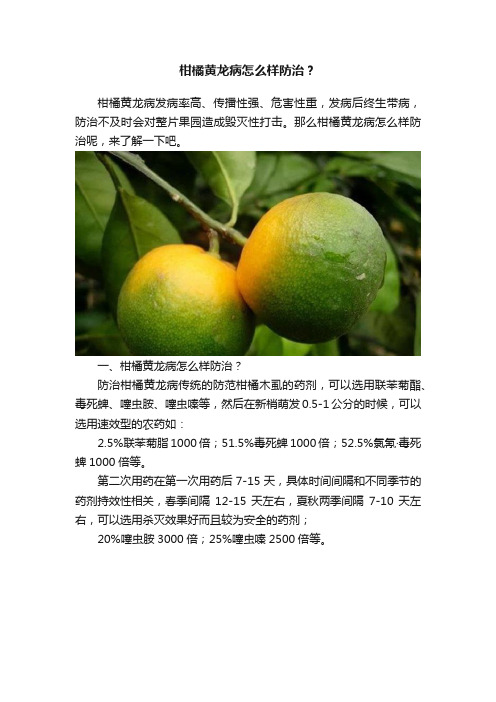 柑橘黄龙病怎么样防治？