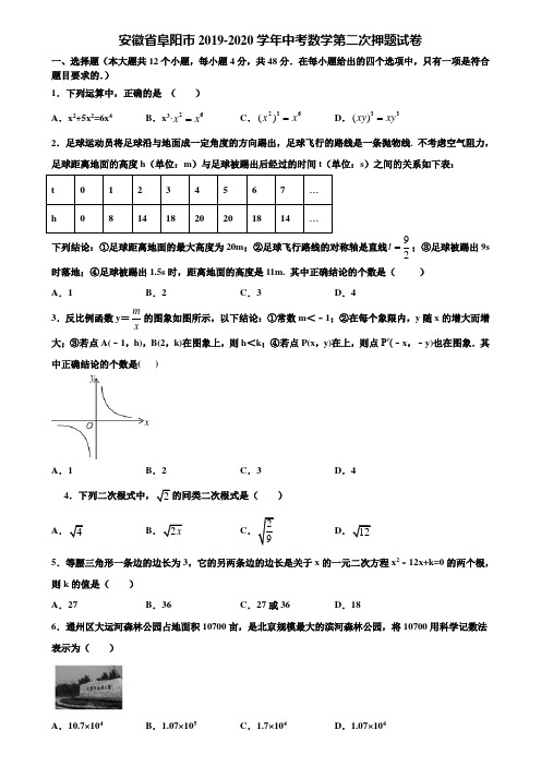 安徽省阜阳市2019-2020学年中考数学第二次押题试卷含解析