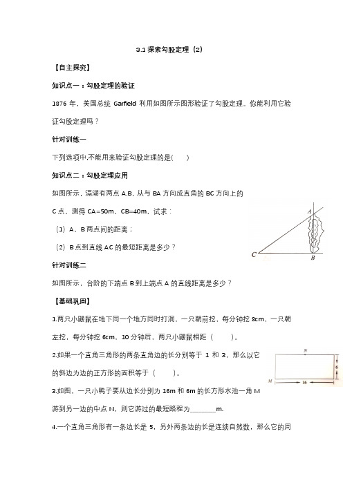 3.1探索勾股定理(2)学案(五四制)数学七年级上册