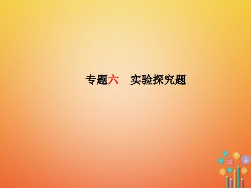 安徽省中考化学复习专题六实验探究题课件