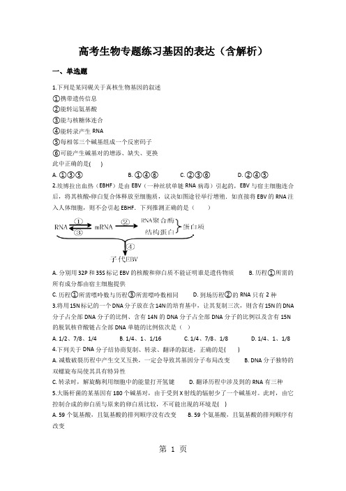 高考生物专题练习基因的表达(含解析)