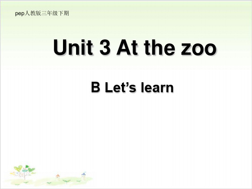 三年级英语下册-Unit 3  At the zoo-人教PEP(36张)PPT精美版