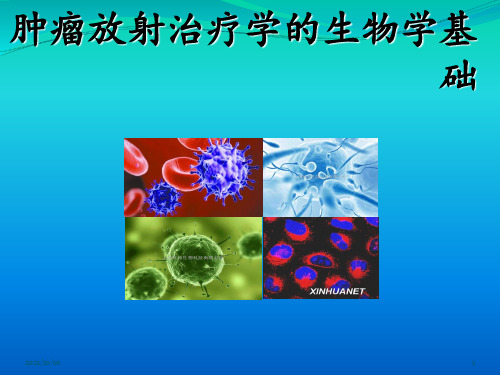 肿瘤放射治疗学的生物学基础【优质PPT】