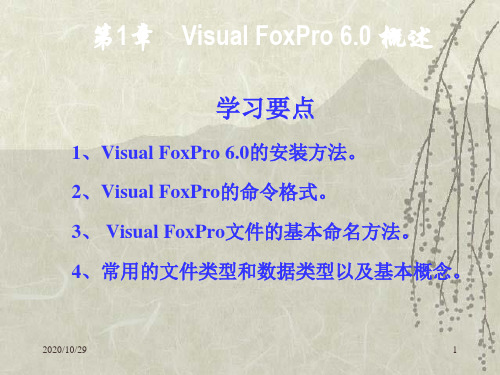 VisualFoxPro6.0知识概述