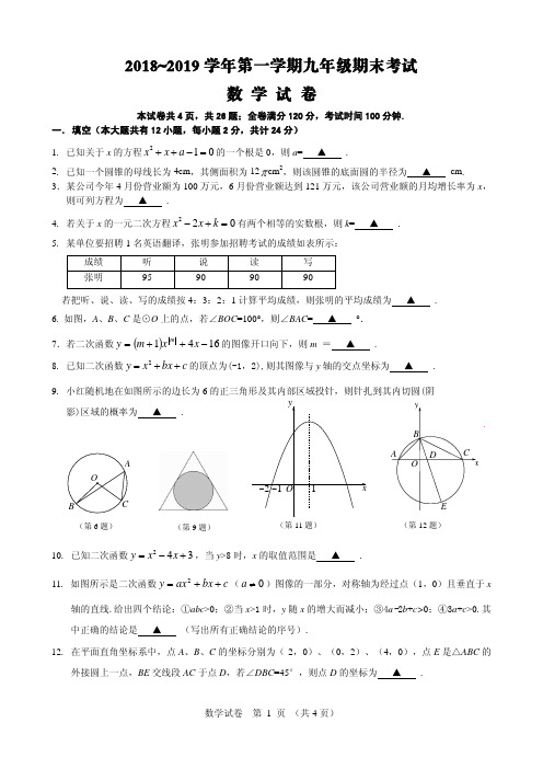 2018-2019第一学期九年级数学期末试卷_2019.1.11定稿_