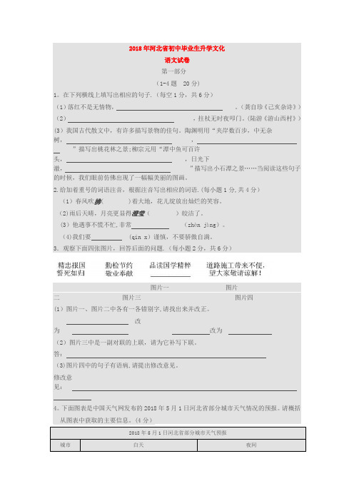 2018年河北省中考语文试卷(含答案)