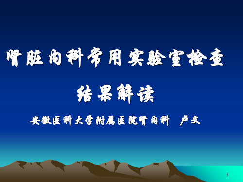 肾内科实验室检查PPT课件