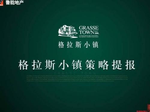 [资料]《鲁能地产格拉斯小镇别墅项目策略案报告》(95页)