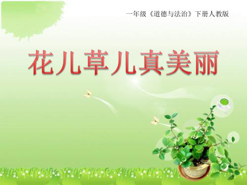 一年级道德与法治下册课件-6 花儿草儿真美丽-部编版(共18张PPT)